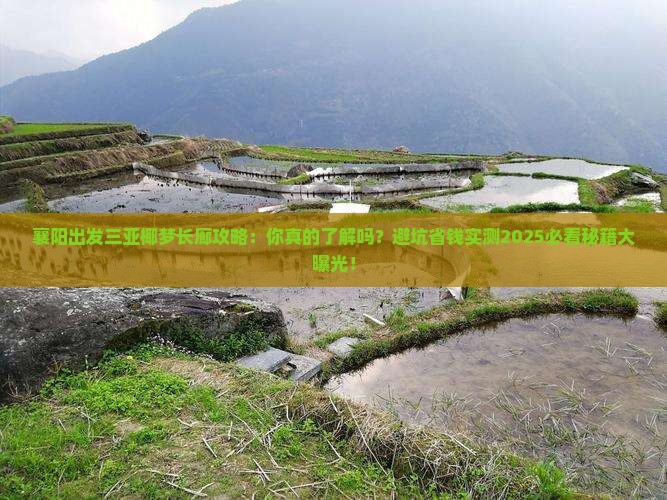 襄阳出发三亚椰梦长廊攻略