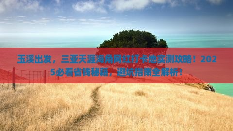 玉溪前往三亚天涯海角旅游网红地点 玉溪前往三亚天涯海角旅游网红地点