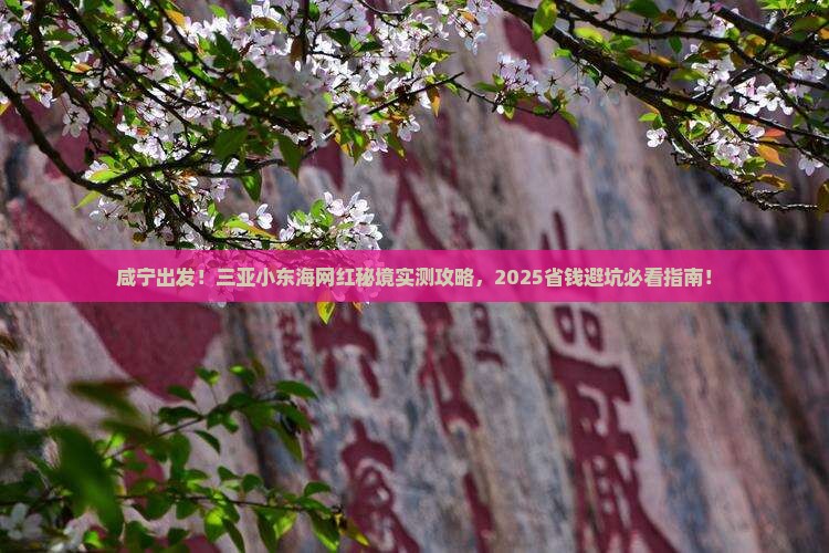 咸宁去三亚小东海旅游网红地点
