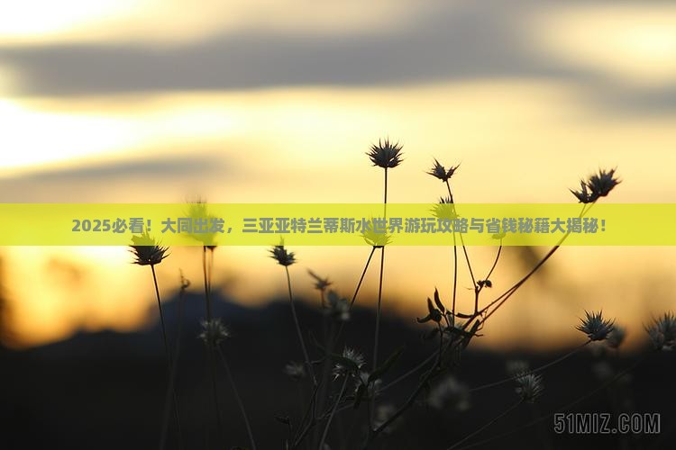 大同前往三亚亚特兰蒂斯水世界旅游