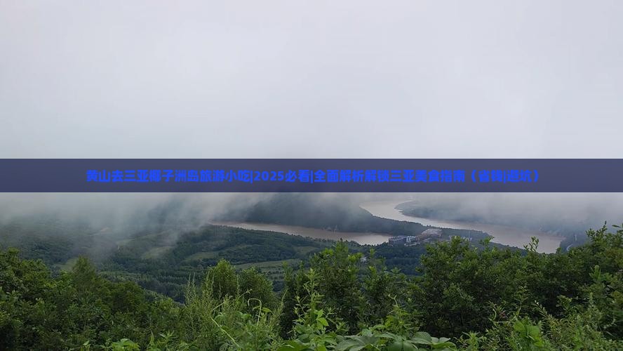 黄山去三亚椰子洲岛旅游小吃