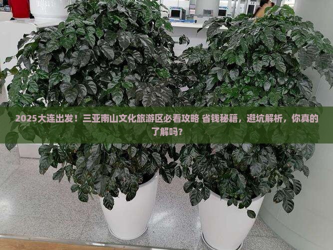 大连去三亚南山文化旅游区攻略