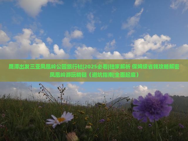 鹰潭出发三亚凤凰岭公园旅行社