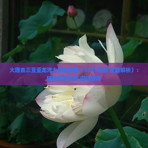 大理去三亚亚龙湾大型旅游团