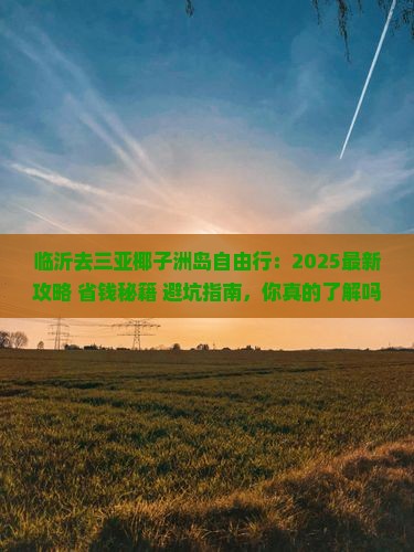 临沂去三亚椰子洲岛自由行 临沂去三亚椰子洲岛自由行