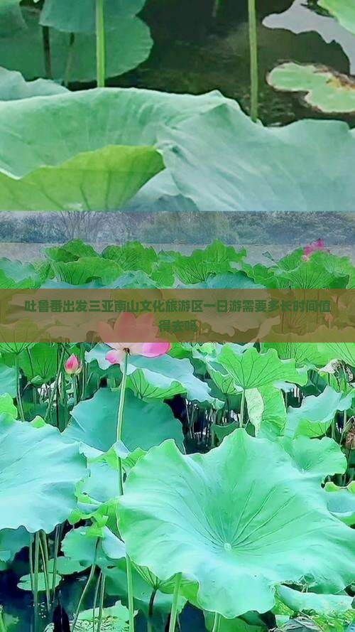 吐鲁番出发三亚南山文化旅游区一日游 吐鲁番出发三亚南山文化旅游区一日游