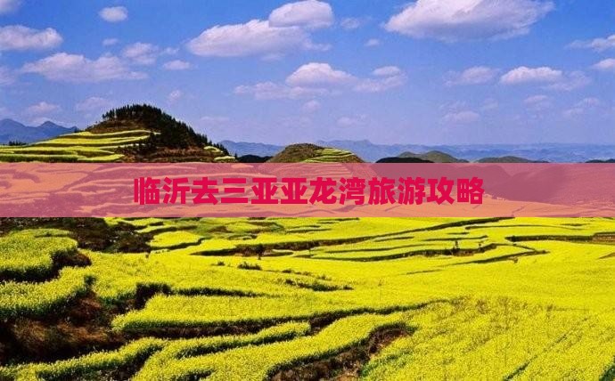 临沂去三亚亚龙湾旅游