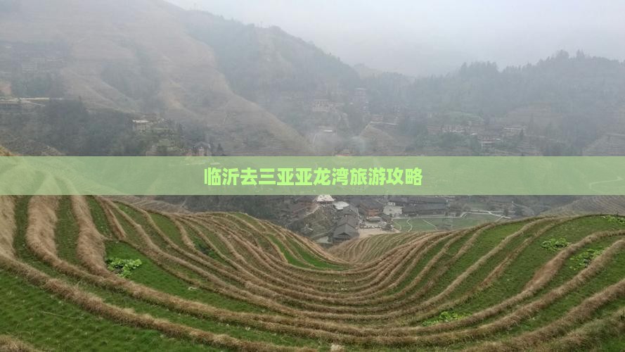 临沂去三亚亚龙湾旅游