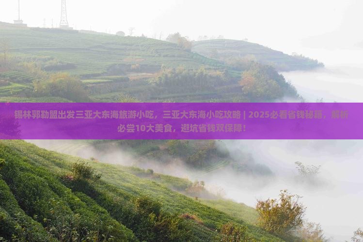锡林郭勒盟出发三亚大东海旅游小吃