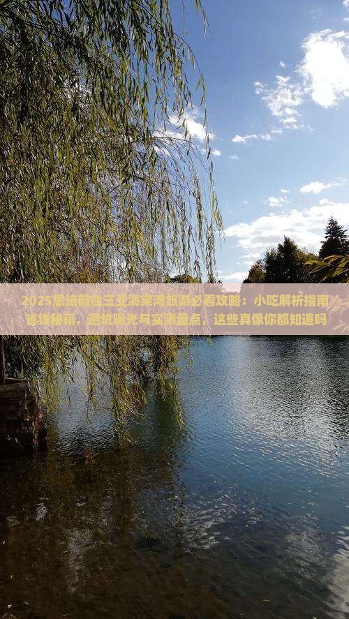 恩施前往三亚海棠湾旅游小吃
