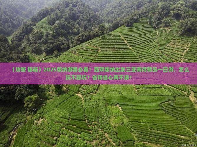 西双版纳前往三亚南湾猴岛一日游
