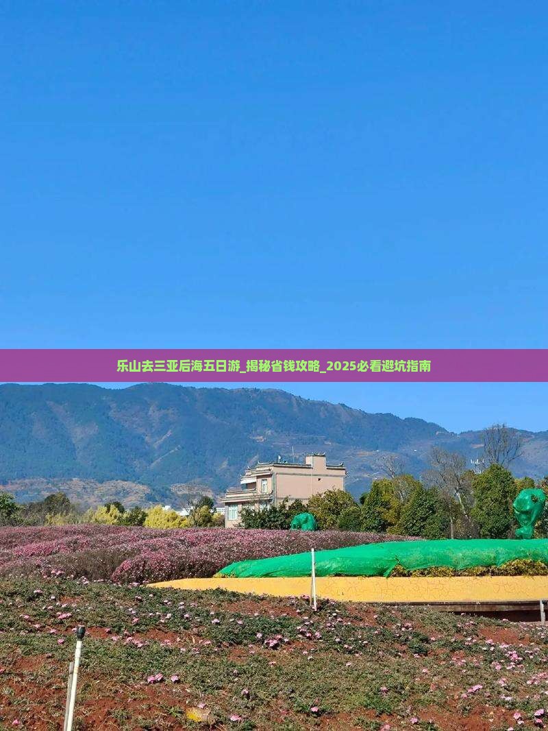 乐山去三亚后海五日游