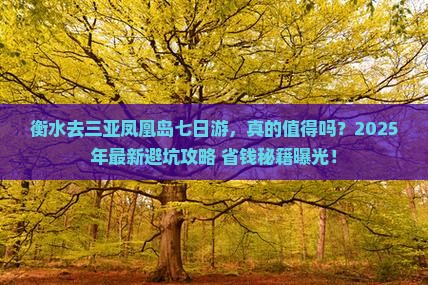 衡水去三亚凤凰岛七日游