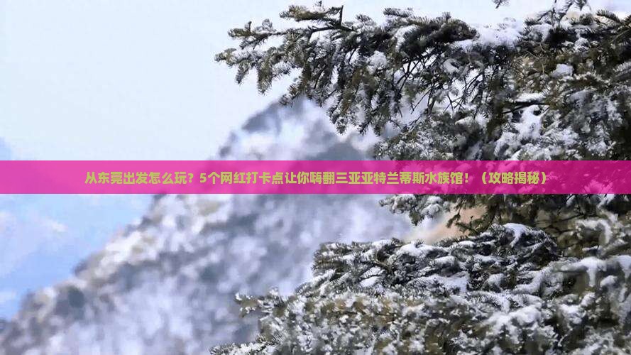 东莞前往三亚亚特兰蒂斯水族馆旅游网红地点