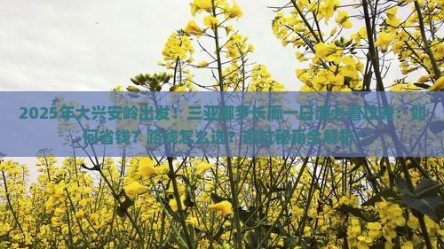 大兴安岭前往三亚椰梦长廊一日游