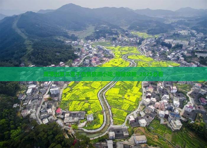 鹰潭出发三亚千古情旅游小吃