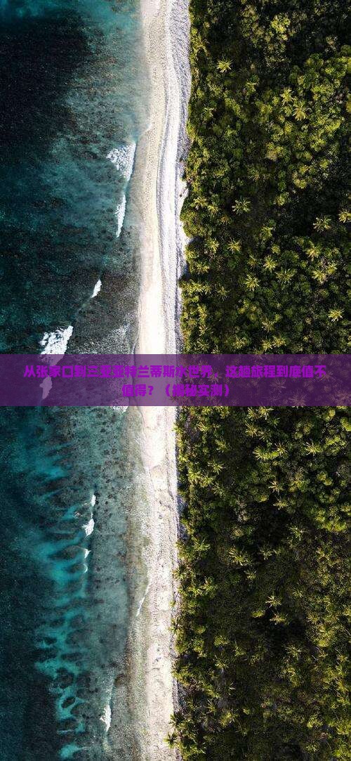 张家口去三亚亚特兰蒂斯水世界必玩地