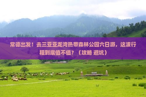 常德去三亚亚龙湾热带森林公园六日游