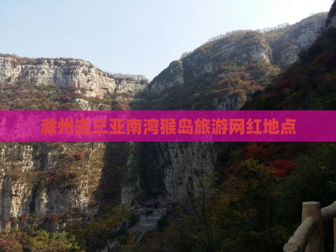 滁州去三亚南湾猴岛旅游网红地点