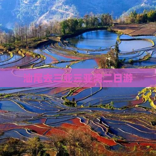 汕尾去三亚三亚湾二日游