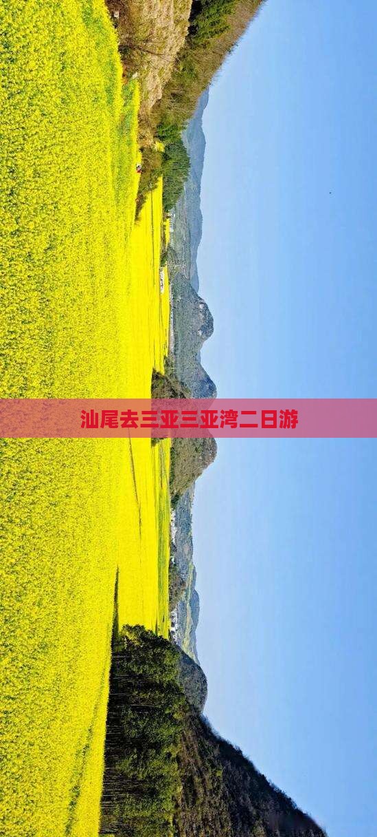 汕尾去三亚三亚湾二日游