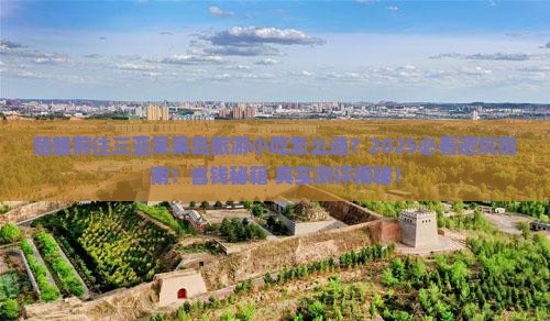 楚雄前往三亚呆呆岛旅游小吃