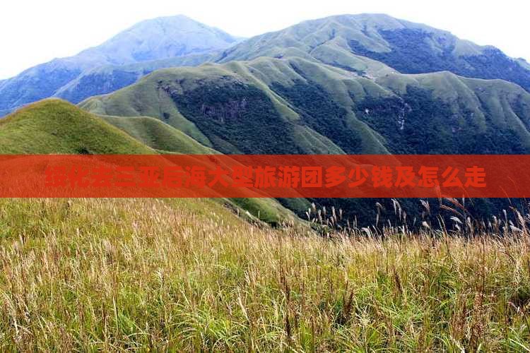 绥化去三亚后海大型旅游团
