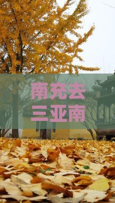 南充去三亚南湾猴岛自由行