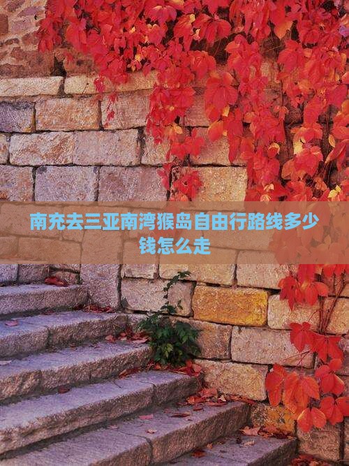 南充去三亚南湾猴岛自由行