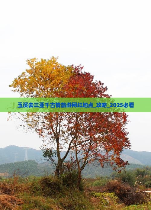 玉溪去三亚千古情旅游网红地点