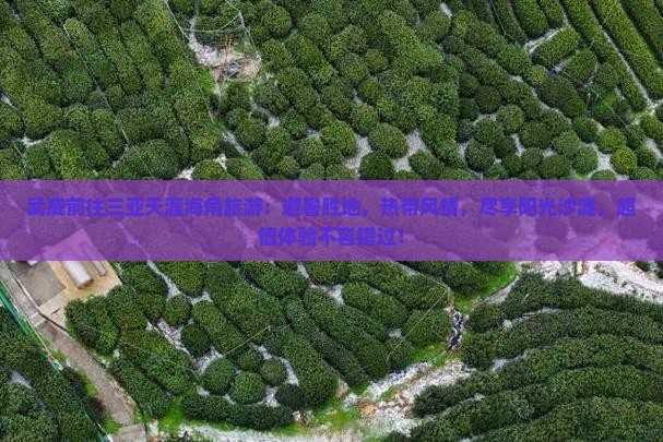 武威前往三亚天涯海角旅游