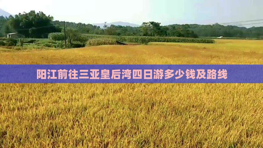 阳江前往三亚皇后湾四日游