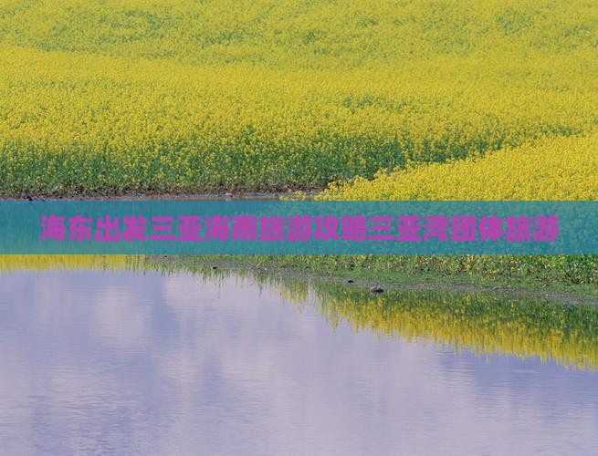 海东出发三亚三亚湾团体旅游