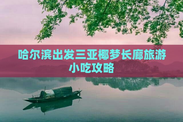 哈尔滨出发三亚椰梦长廊旅游小吃