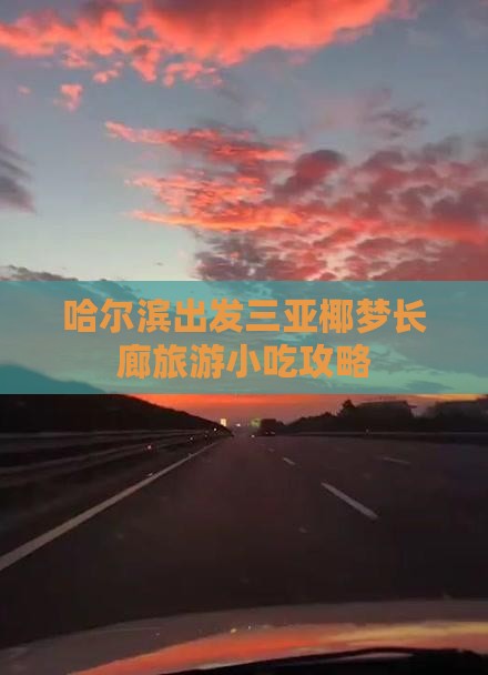 哈尔滨出发三亚椰梦长廊旅游小吃