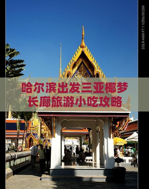 哈尔滨出发三亚椰梦长廊旅游小吃