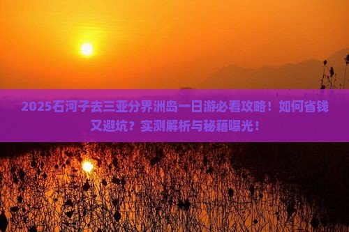 石河子去三亚分界洲岛一日游