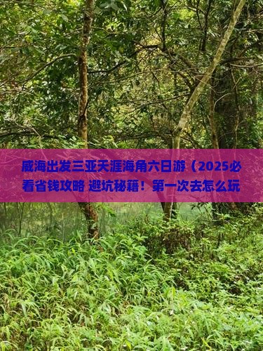 威海出发三亚天涯海角六日游