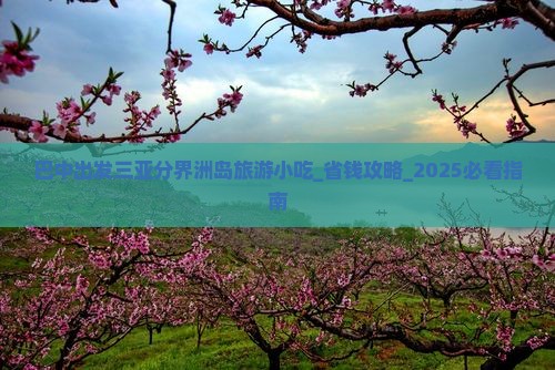 巴中出发三亚分界洲岛旅游小吃