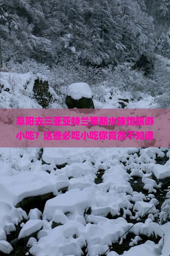 阜阳去三亚亚特兰蒂斯水族馆旅游小吃