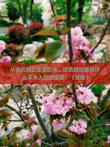 张北去三亚鹿回头必玩地