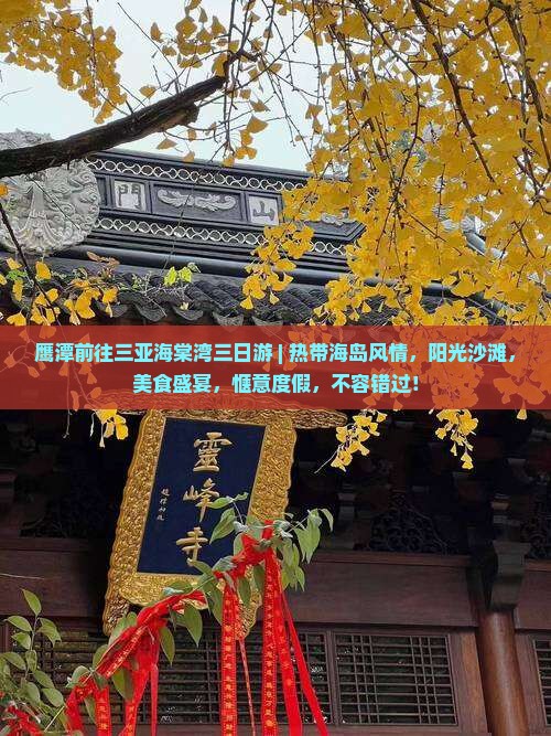 鹰潭前往三亚海棠湾三日游