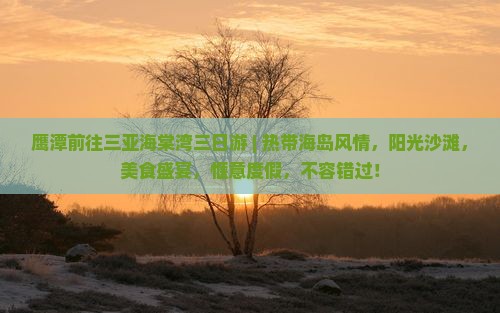 鹰潭前往三亚海棠湾三日游