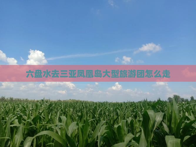 六盘水去三亚凤凰岛大型旅游团