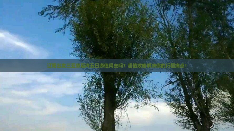 辽阳出发三亚皇后湾五日游