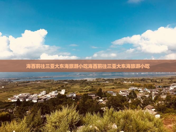 海西前往三亚大东海旅游小吃