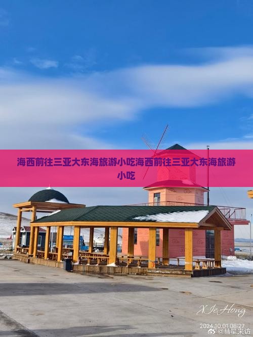 海西前往三亚大东海旅游小吃