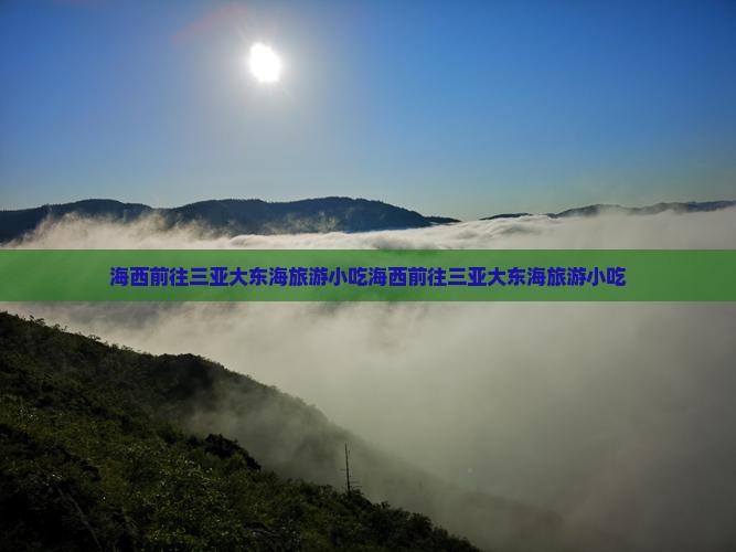 海西前往三亚大东海旅游小吃