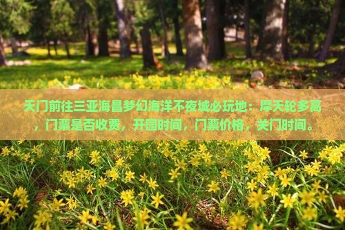 天门前往三亚海昌梦幻海洋不夜城必玩地