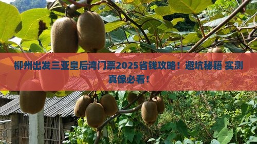 柳州出发三亚皇后湾门票